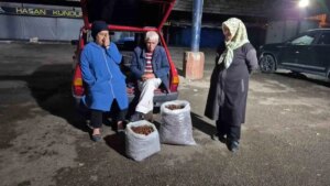 kuraklik kestane rekoltesini vurdu fiyatlar yukseliyor C6heNZjl.jpg